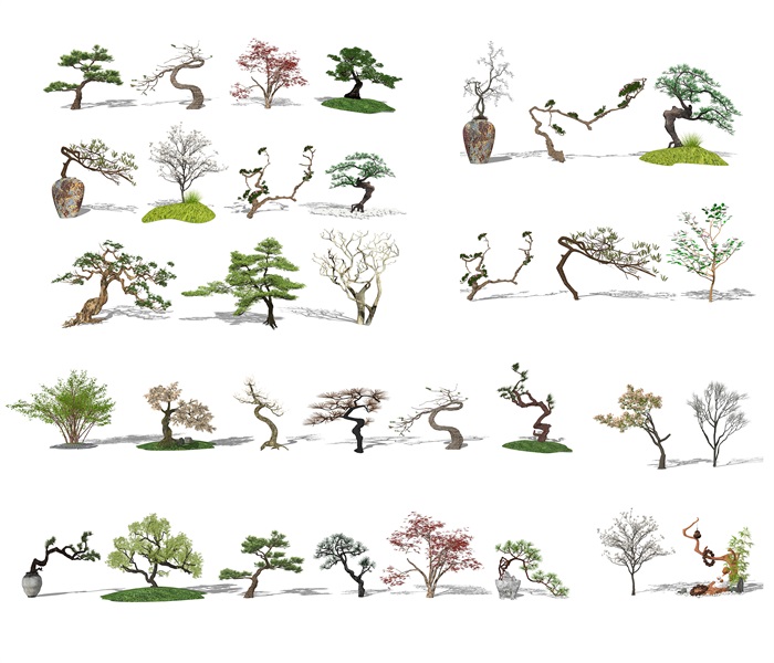 新中式景观树 景观小品 树 植物su模型(1)
