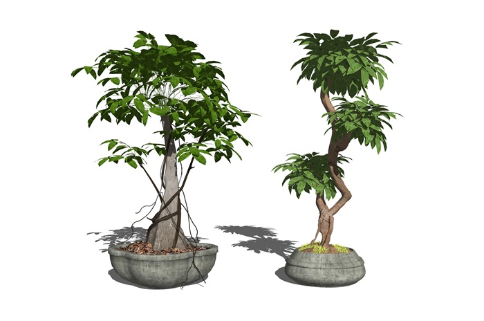 现代盆栽植物组合SU模型(3)