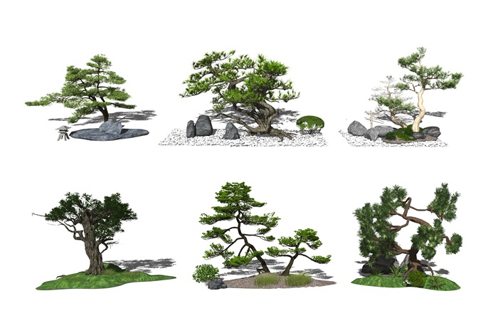 新中式庭院景观小品 景观树 松树su模型(1)