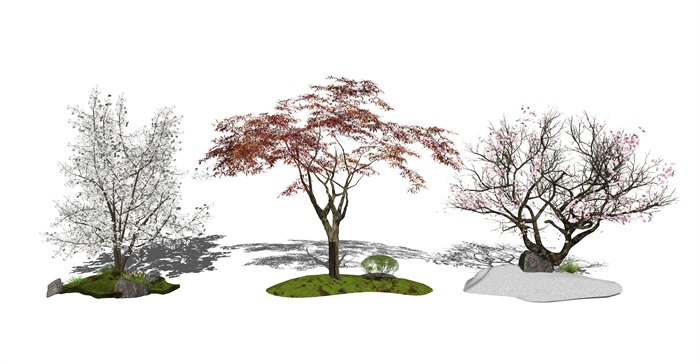 现代景观树 枯枝 树su模型(1)