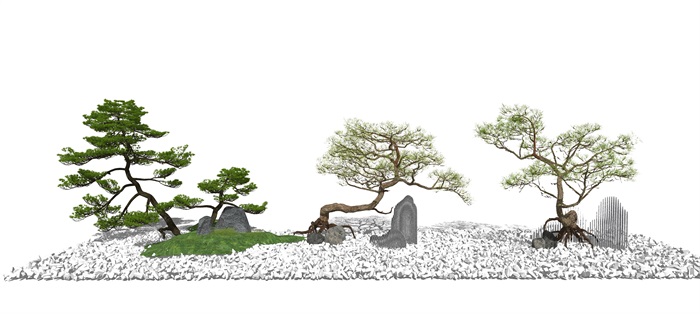 新中式景观植物景观树枯山水松树假山石头SU模型(3)