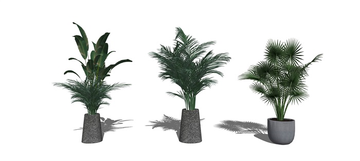 现代盆栽植物组合SU模型(3)