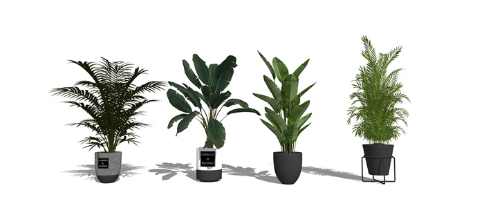 现代盆栽植物组合SU模型(6)