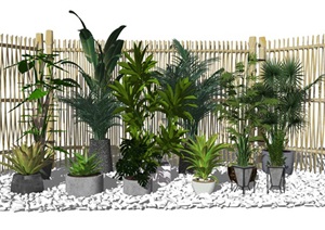 现代盆栽植物绿植隔断篱笆SU(草图大师)模型
