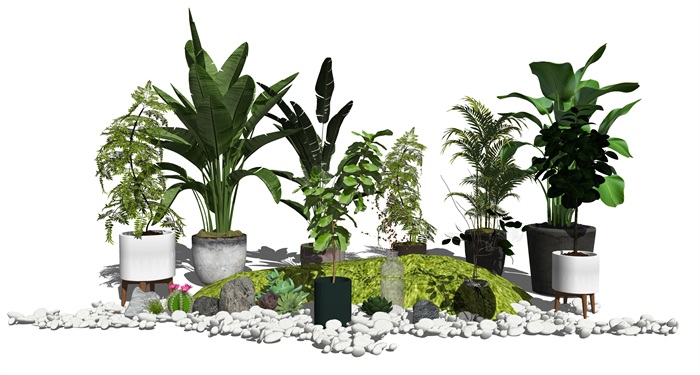 现代盆栽植物石头绿植SU模型1(2)