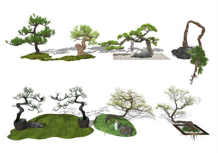 新中式风格景观树 景观小品 景观树 植物su模型(1)