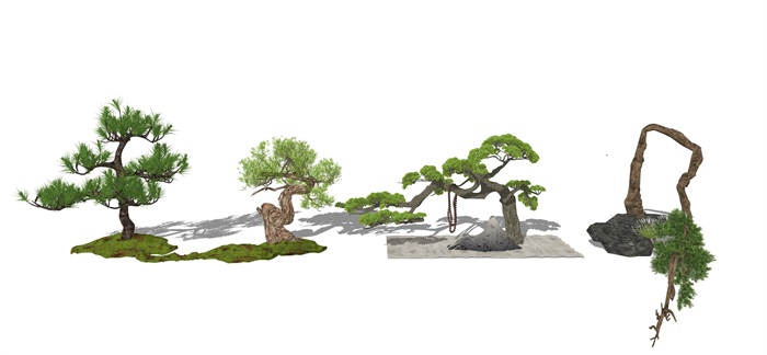 新中式风格景观树 景观小品 景观树 植物su模型(3)
