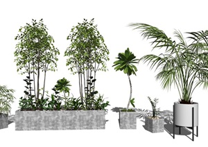 现代千年木散尾葵盆栽组合 铁树 绿植 景观SU(草图大师)模型