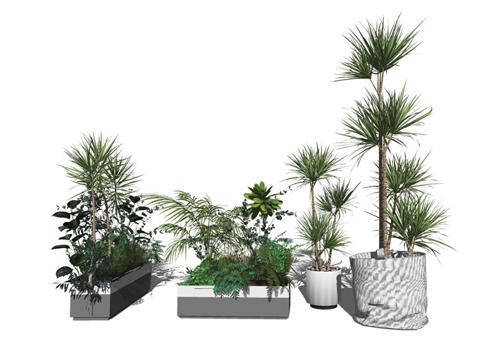现代绿植盆栽 植物su模型(1)