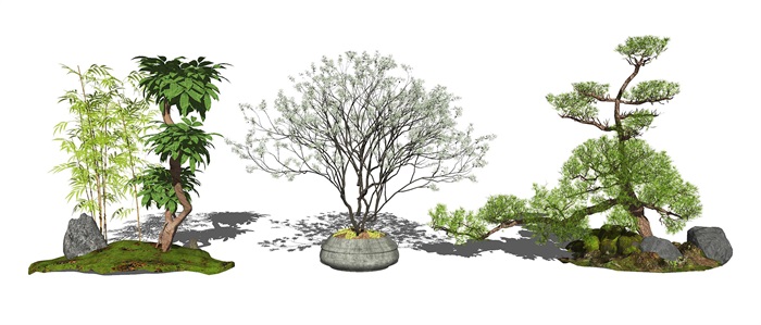 新中式景观小品 松树 景观树 su模型(2)