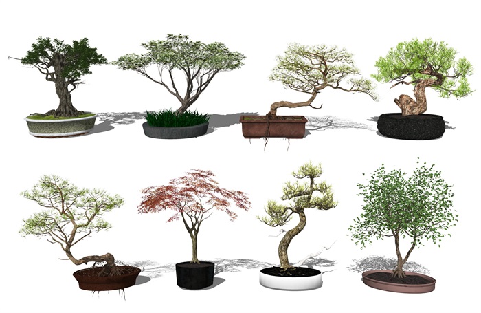 新中式风格盆栽 植物 绿植 树su模型(1)