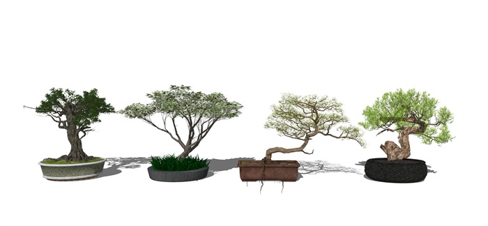 新中式风格盆栽 植物 绿植 树su模型(2)