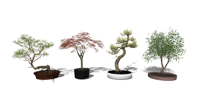 新中式风格盆栽 植物 绿植 树su模型(3)