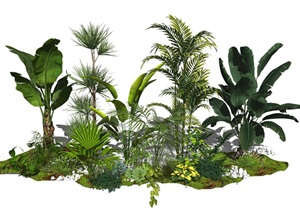现代植物 绿植 室外灌木SU(草图大师)模型