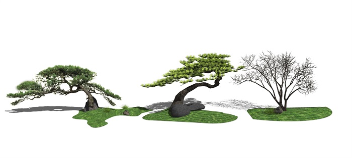 新中式景观小品庭院景观松树石头SU模型
