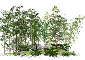 新中式景观小品 竹子 植物SU(草图大师)模型