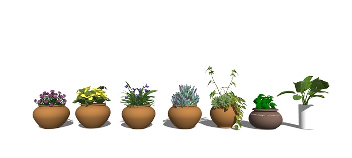现代盆栽 绿植 植物su模型(5)