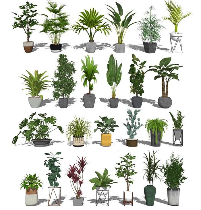 现代盆栽 绿植 植物su模型(1)