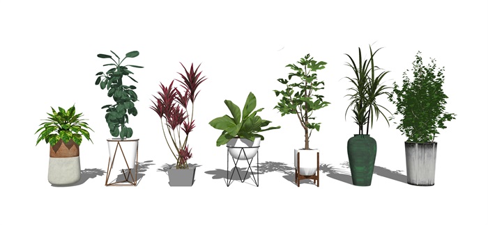 现代盆栽 绿植 植物su模型(3)
