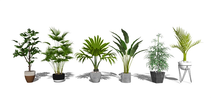 现代盆栽 绿植 植物su模型(4)
