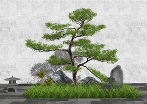 新中式景观小品 景观石头 松树 禅意小景 庭院景观SU(草图大师)模型
