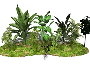 现代植物盆栽景观植物组合SU(草图大师)模型