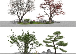 新中式景观小品 植物 乔木 景观树 树 枯枝石头 枯山水SU(草图大师)模型