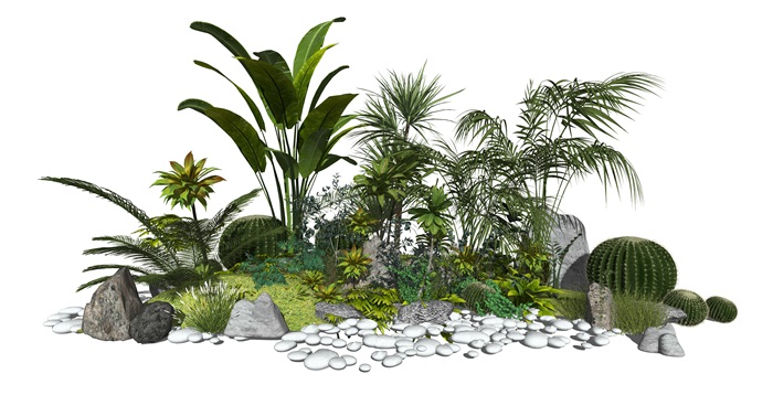 现代室外灌木 植物 石头 仙人掌组合su模型(1)