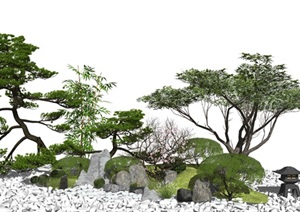 新中式景观小品 庭院景观 树 石头 乔木 枯枝 景观树SU(草图大师)模型