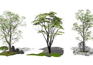 新中式景观小品 枯山水 乔木 景观树SU(草图大师)模型