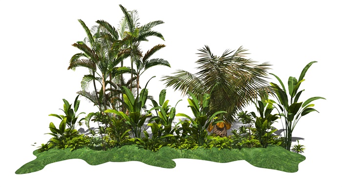 现代植物灌木盆栽棕榈树散尾葵SU模型