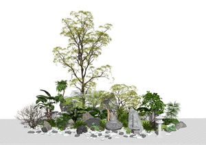 新中式景观小品 庭院景观 植物 树木 绿植 乔木 灌木石头SU(草图大师)模型6