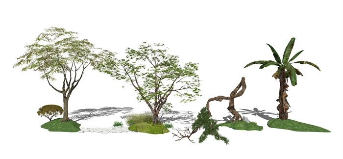 现代景观树 树木 树 植物su模型(1)