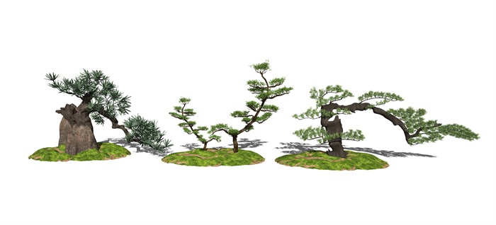 新中式景观小品景观树景观植物松树SU模型(1)