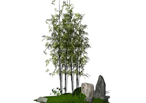 现代竹子景观植物景观小品石头 SU(草图大师)模型