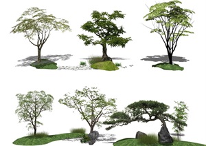现代 景观树 乔木 树木 植物 景观小品SU(草图大师)模型2