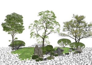 现代植物乔木树木 景观树 绿植景观小品SU(草图大师)模型