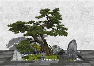 新中式景观小品 庭院景观 石头 景观树SU(草图大师)模型6